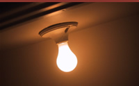 Light Bulb Photo